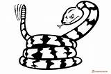 Coloring Snake Pages Printable Rattlesnake Cartoon Printables sketch template