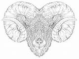 Aries Tattoo Ram Coloring Pages Head Horns Tattoos Sheep Animals Animal Adult Drawing Totem Zodiac Native Sign American sketch template