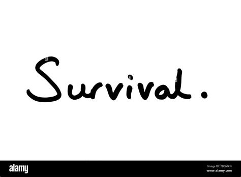 word survival handwritten   white background stock photo alamy