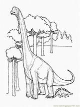 Coloring Supersaurus Dinosaur Color sketch template