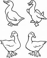 Goose Coloring Pages Mother Color Netart Getcolorings sketch template