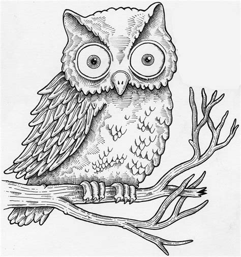 pin  mignon hatton   grade owls drawing owl sketch owl art