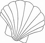 Scallop Shells Pyrography Conchas Seashells Concha sketch template