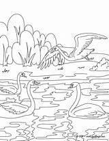 Coloriage Patito Feo Canard Vilain Cuento Andersen Cuentos Conte Línea Hans sketch template