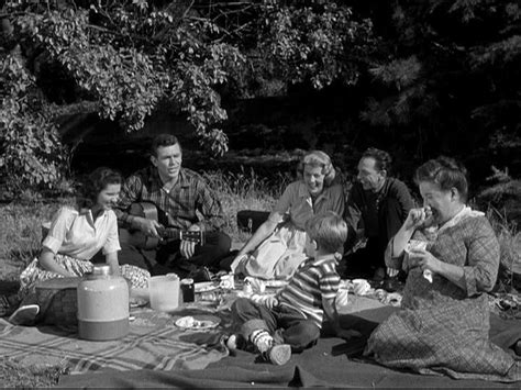 barney hilda mae andy ellie opie and aunt bee having a picnic the andy griffith show in