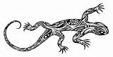 Lizard Lizards Fantastiques Lezard Lézard Gecko Colorier Coloriages Maori Lézards Lagartos Plume Stylo Lezards A4 Terrifiant Fantastique Imgkid Visiter Hawaiian sketch template