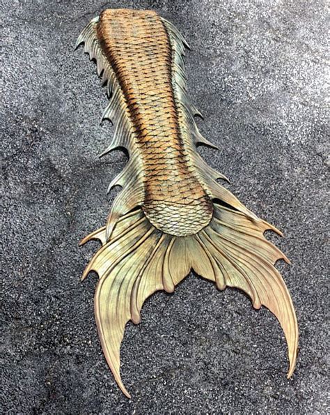 silicone mermaid tails spellbound tails custom   mertailor