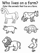 Animals Farm Colour Coloring Worksheets Animal Matching Popular sketch template