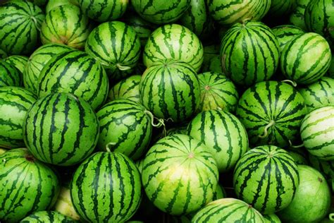 pick  perfect watermelon  time  tips  america