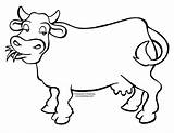 Sapi Belajar Cows Moo Mewarnai Sketsa Tk Kleurplaten sketch template