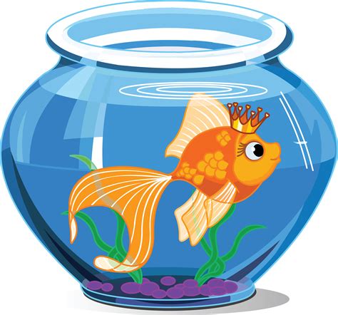 goldfish bowl cliparts   goldfish bowl cliparts png