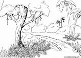 Jungle Drawing Coloring Pages Line Kids Printable Color sketch template