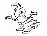 Grasshopper Saltamontes Sauterelle Cavalletta Colorare Pulga Infantile Gafanhoto Disegni Acolore Animais Insetti sketch template