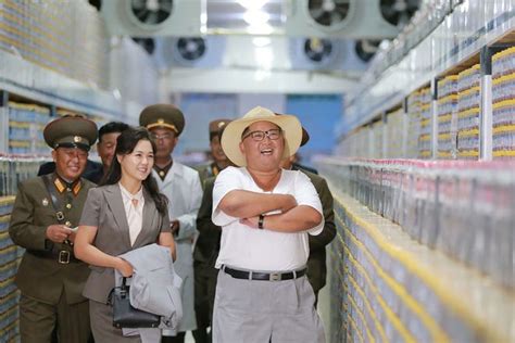 kim jong un sister and wife improve the north korean leader s image