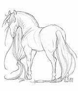 Friesian Coloring Pages Horse Drawings Printable Collections Getcolorings Horses Getdrawings Deviantart sketch template