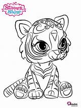 Bengal Shine Nahal Shimmer Tiger Coloring Pages Bubakids sketch template