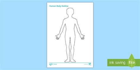 single body outline worksheet ks nauczyciel wykonal