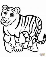 Harimau Mewarnai Tigre Kartun Marimewarnai Colorir Paud Feio Tigers Tigress Stampare Colorironline Tutto Bukaninfo Borop sketch template