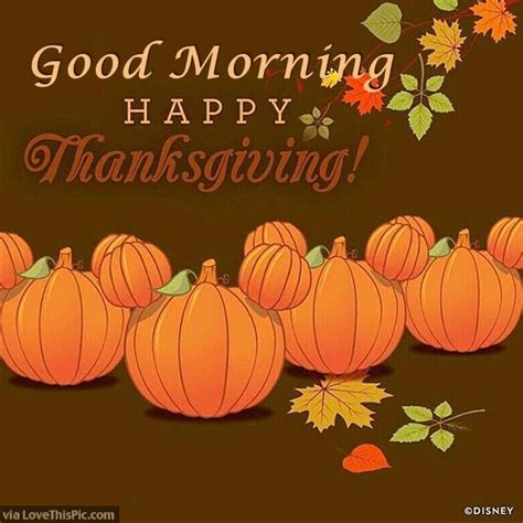 happy thanksgiving good morning quote  share pictures