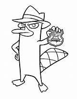 Coloring Ferb Phineas Spy Platypus Coloringonly Pirate Badge sketch template