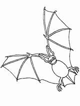 Coloring Pages Bats Animals Advertisement Book sketch template