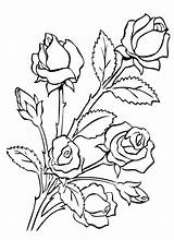 Coloring Pages Roses Rose Birthday Bunch Coloriage Happy Getcolorings Bouquet Color Printable Dessin sketch template