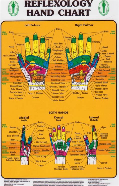 hand reflexology chart ubicaciondepersonas cdmx gob mx