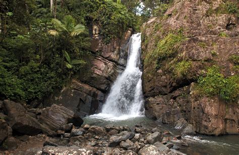 El Yunque National Rainforest Río Grande Puerto Rico
