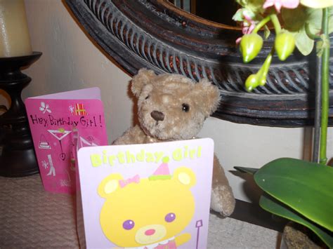 Teddy And Nibs Teddy S Birthday Cards