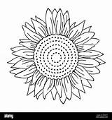 Sunflower Outline Girasole Colorare Drawing Zonnebloem Svg Sonnenblume Alamy Eenvoudige Semplice Zeichnung Skizzieren Malbuch Einfache Contorno Layered Eps10 sketch template