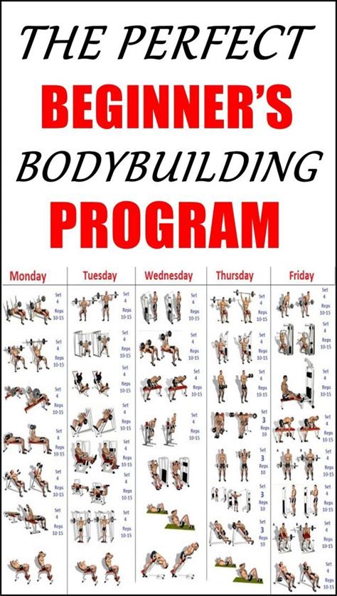 perfect beginners bodybuilding program poster  shown  red  black