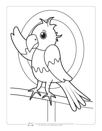 coloring pages small animals pictures total update