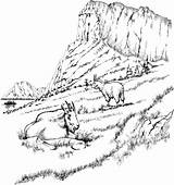 Coloring Pages Landscape Mountain Printable Goats Adult Adults Mountains Rocky Color Goat Two Landscapes Scene Scenery Nature Realistic Desert Colouring sketch template