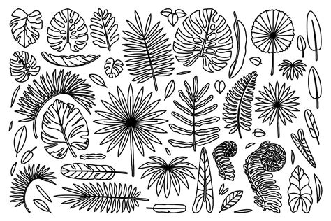 pin  coloring pages houseplants coloring pages  printable