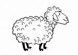 Schafe Malvorlagen sketch template