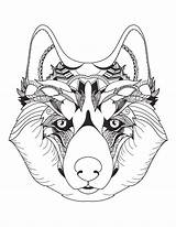 Loup Magnifique Tête Mindfulness Loups Artherapie Coloriages sketch template