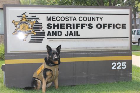 Mecosta County Sheriffs Office K9 Zeke Awarded Body Armor