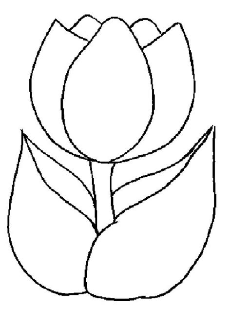 beautiful tulip coloring pages collection  coloring sheets