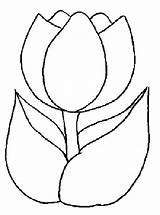 Tulip Coloring Pages Flower Kids Printable Sheets Coloringfolder sketch template