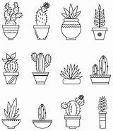 Coloring Succulent Cactus Pages Adult Books Succulents Plant Cleverpedia sketch template