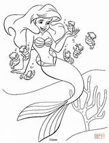 Ariel Supercoloring Seahorses Mermaids Colour Printables Fairies Kleurplaat Malbilder sketch template