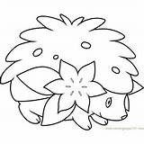 Shaymin Seedot Coloringpages101 sketch template
