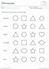 Correct Shape Identify Primaryleap sketch template