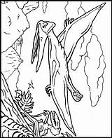 Pteranodon Coloring Pages Crayola Magic Dinosaur Dinosaurs Flying Dimorphodon Book Color Treehouse Kids Dark Before Jurassic Print Printable Adult Sheets sketch template