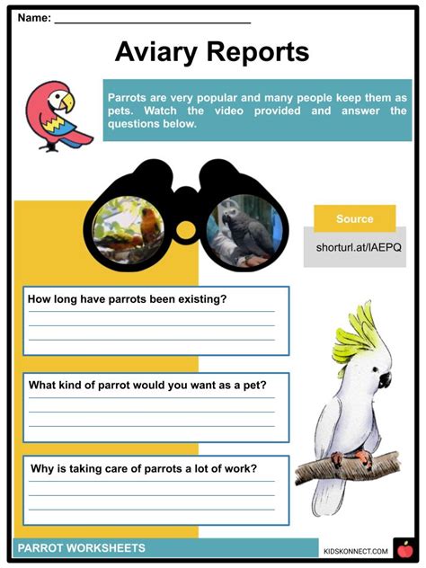 parrot facts worksheets biological order features  kids
