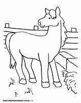 Hay Coloring Pages Drawing Horse Eating Printable Getdrawings Getcolorings sketch template