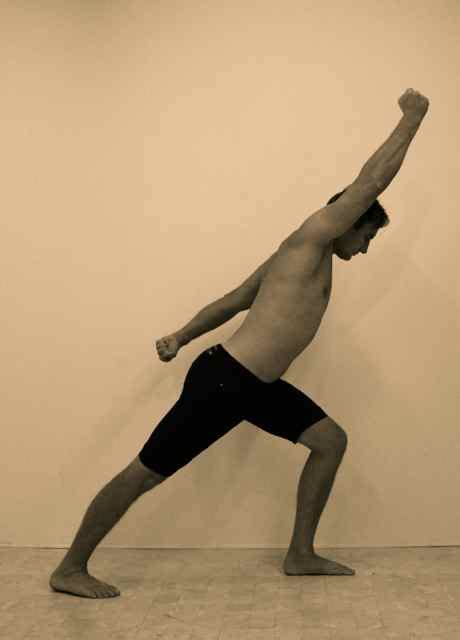 arm positions  adopt  movement action fitnesscom