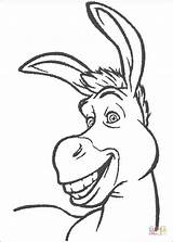 Donkey Ciuchino sketch template