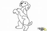 Beagle Draw Step Drawingnow Coloring sketch template