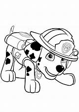 Patrol Paw Coloring Pages Boys Printable Marshal Supercoloring Via sketch template